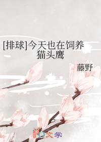 [排球] 今天也在饲养猫头鹰