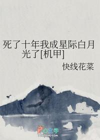 死了十年我成星际白月光了[机甲]